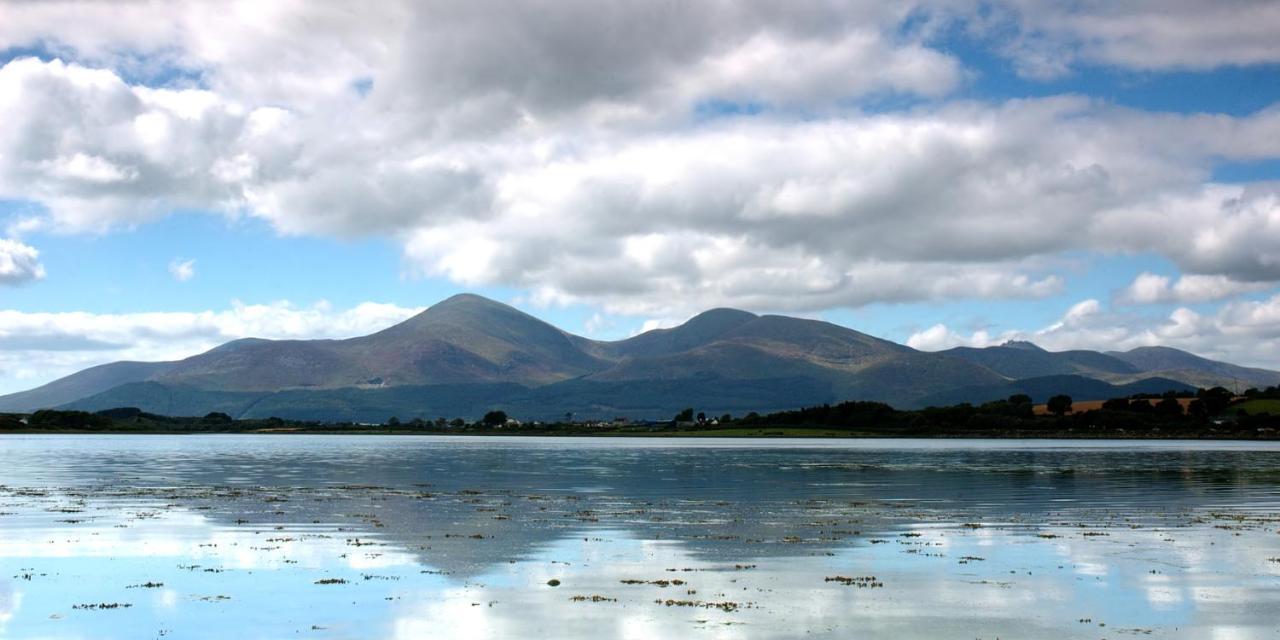 Forest View - Castlewellan, County Down Belfast Exteriér fotografie