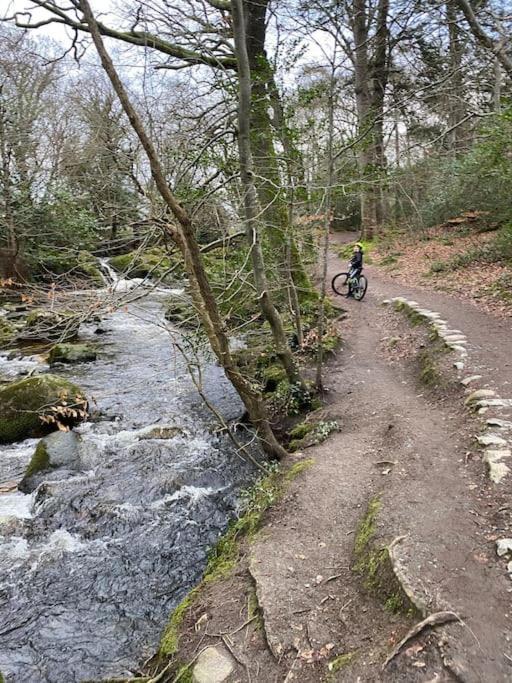 Forest View - Castlewellan, County Down Belfast Exteriér fotografie