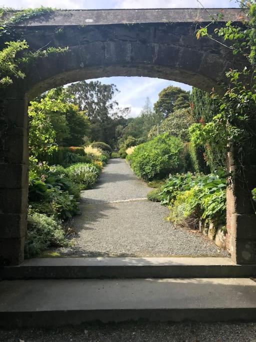 Forest View - Castlewellan, County Down Belfast Exteriér fotografie