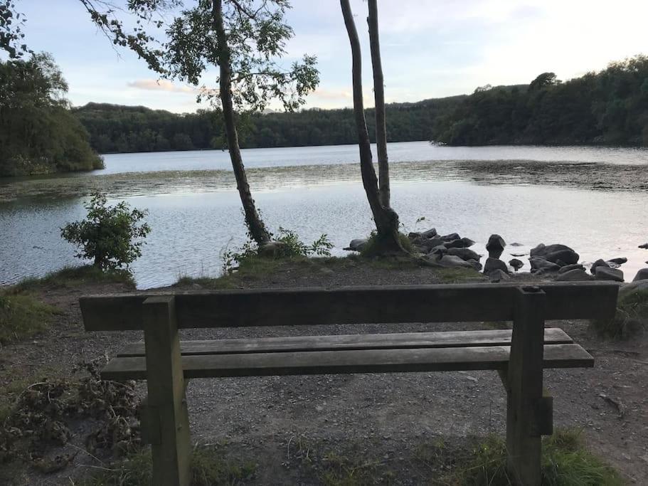 Forest View - Castlewellan, County Down Belfast Exteriér fotografie