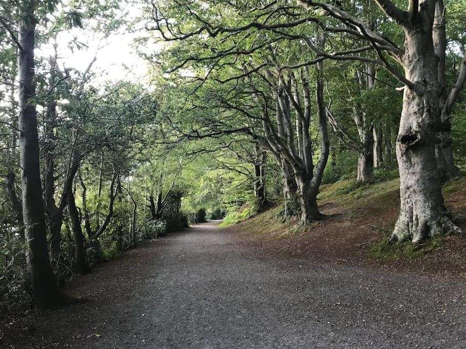 Forest View - Castlewellan, County Down Belfast Exteriér fotografie