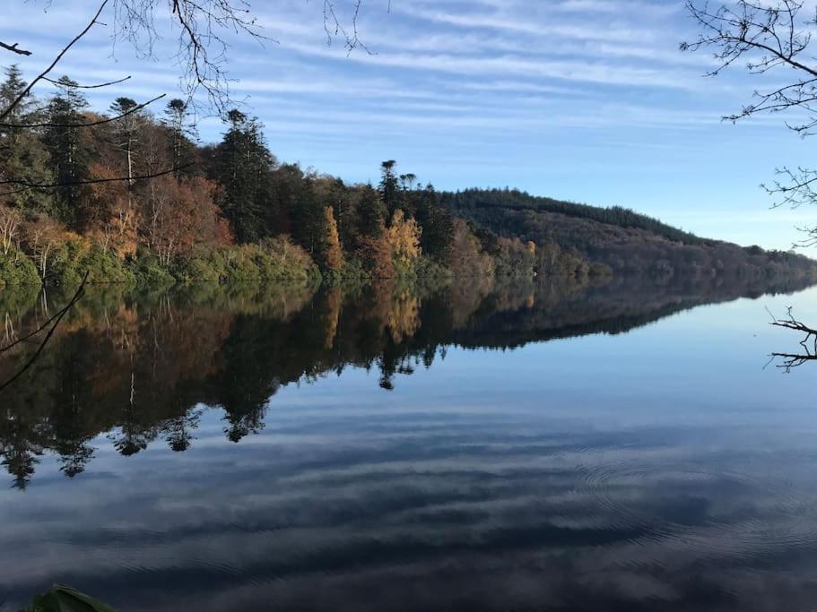 Forest View - Castlewellan, County Down Belfast Exteriér fotografie