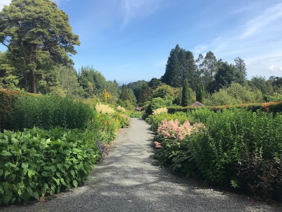 Forest View - Castlewellan, County Down Belfast Exteriér fotografie